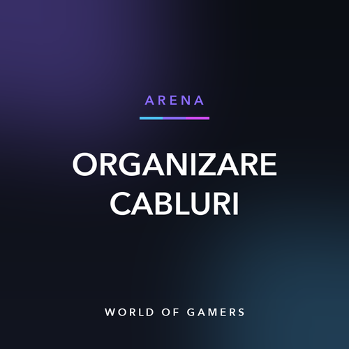 Organizare Cabluri — World of Gamers