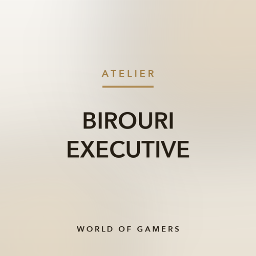 Birouri Executive — World of Gamers