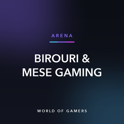 Birouri & Mese Gaming — World of Gamers